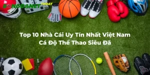 Top 10 Nhà Cái Uy Tín Nhất Việt Nam, Cá Độ Thể Thao Siêu Đã
